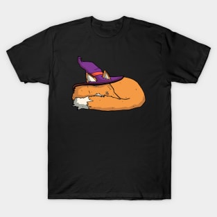 Sleeping wizard fox T-Shirt